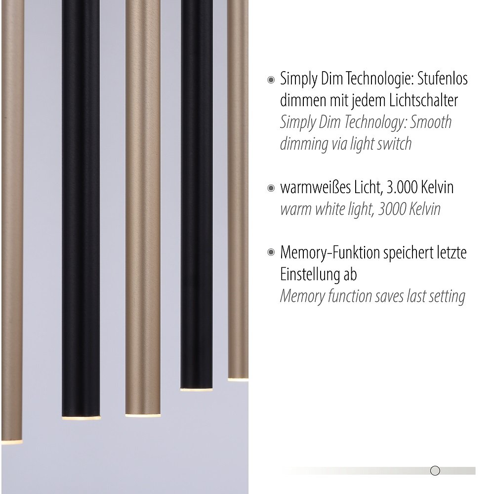 LED Paul Neuhaus Flute --> 2117-18 schwarz Simply kaufen Dim Lampen 7-flammig Pendelleuchte messing online & Leuchten