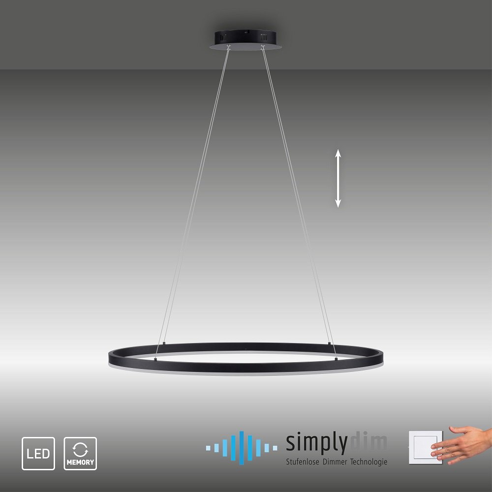 Paul Neuhaus kaufen Simply 80cm & Shop 2392-13 im --> Titus anthrazit oval LED online Leuchten Dim Pendelleuchte Lampen