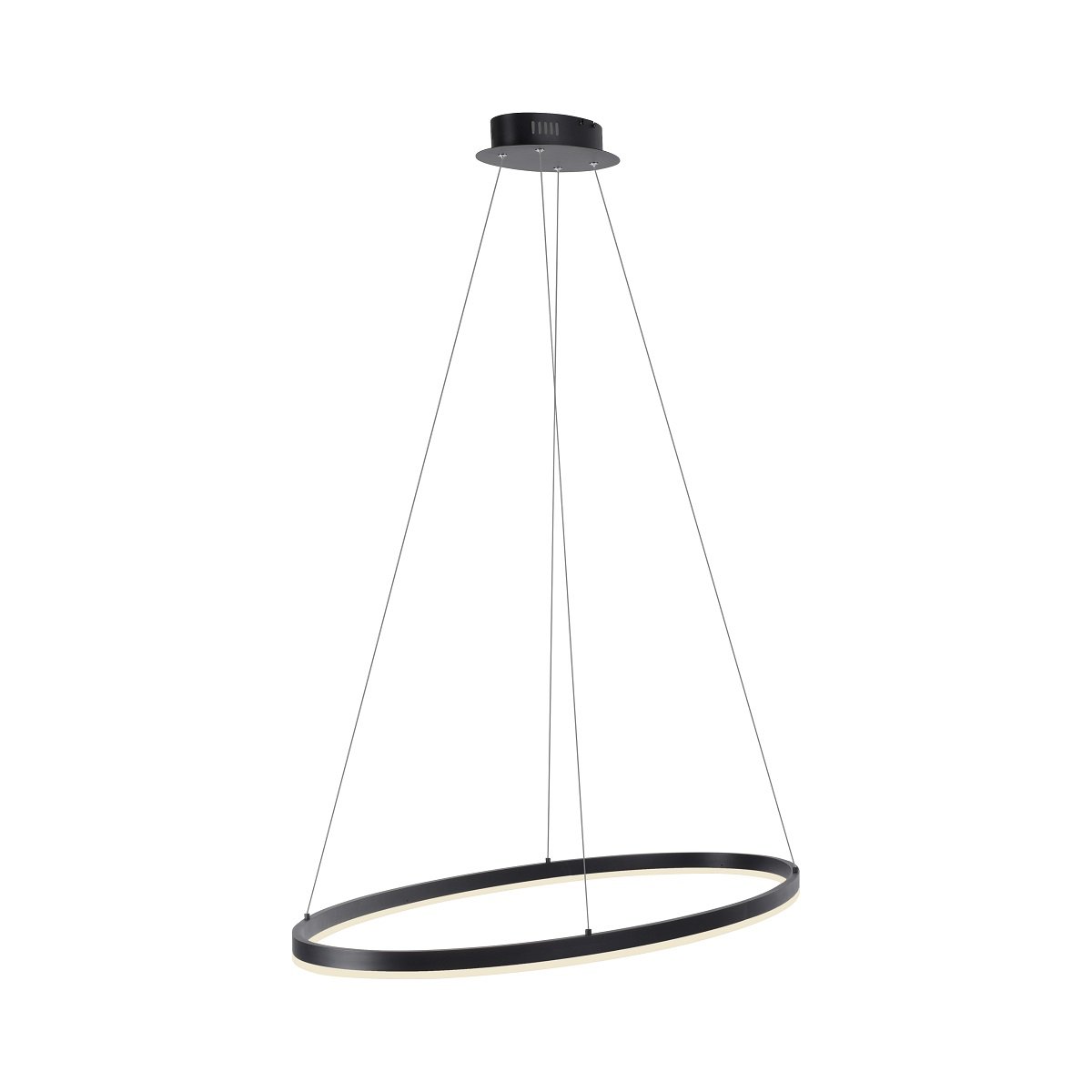 Paul Neuhaus 2392-13 Titus & Shop oval Lampen Leuchten anthrazit --> LED Simply Pendelleuchte kaufen 80cm Dim im online