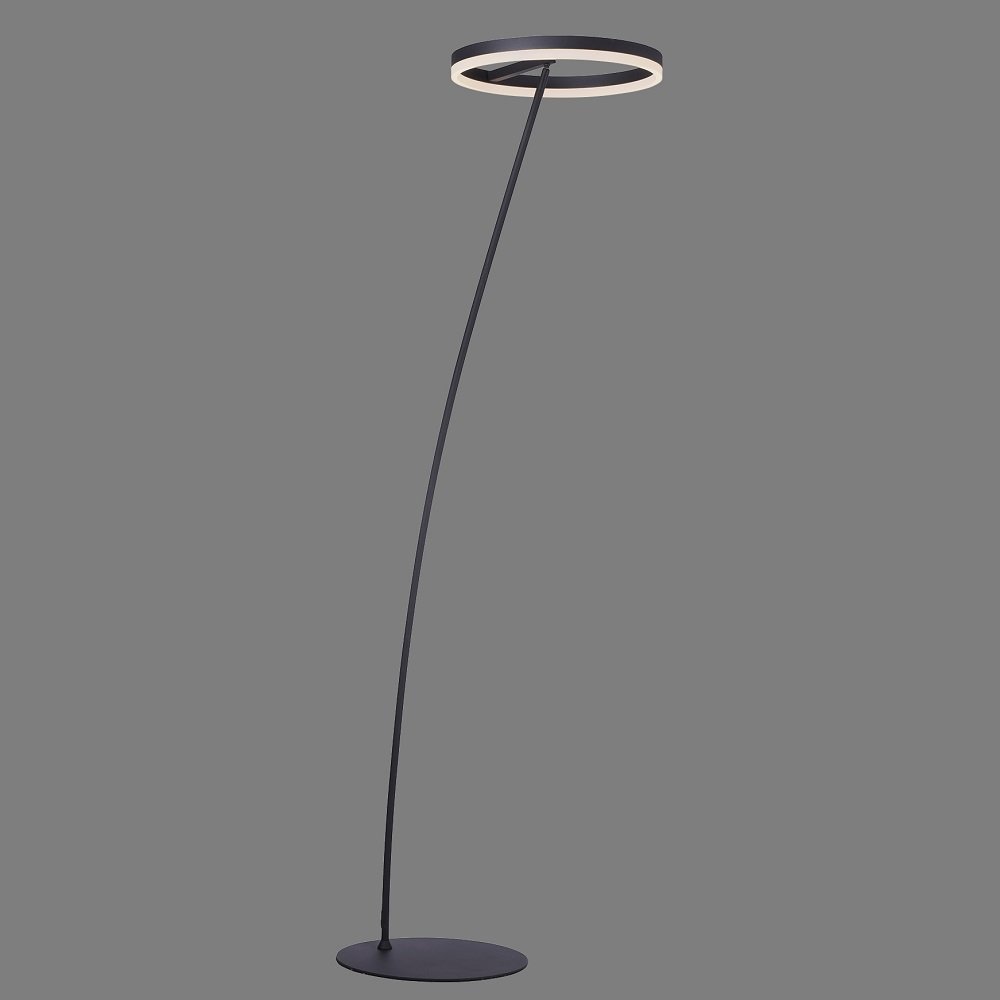 Leuchten online & im Shop anthrazit Lampen kaufen Paul Neuhaus --> 381-13 Stehleuchte TITUS