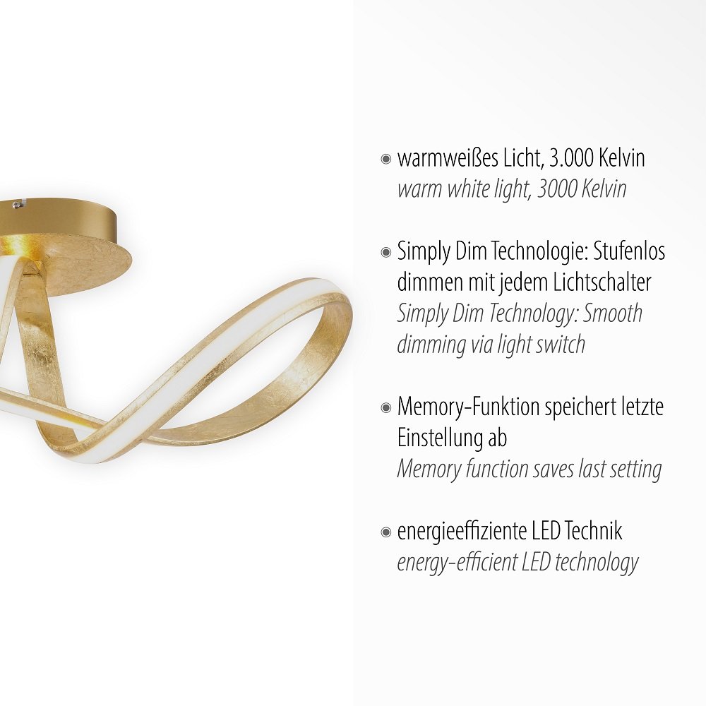 Paul Neuhaus Leuchten 8331-12 MELINDA Shop im online Lampen kaufen gold & Deckenleuchte 
